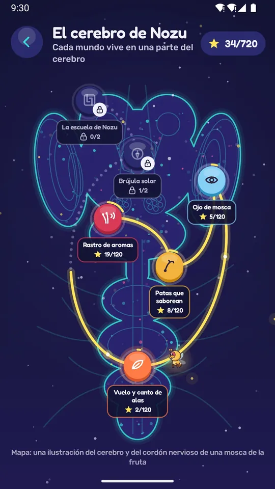 El mapa del cerebro de Nozu con sus seis mundos