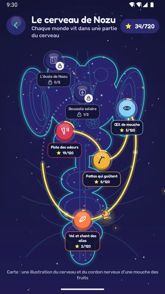 La carte du cerveau de Nozu avec ses six mondes