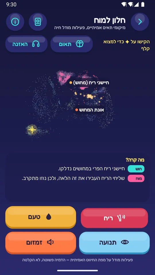 החלון למוח: נוירונים נדלקים בזמן שנוזו מריח